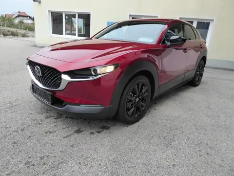 Used MAZDA CX-30 Petrol 2023 Ad 