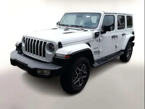 Used JEEP WRANGLER Hybrid 2022 Ad 