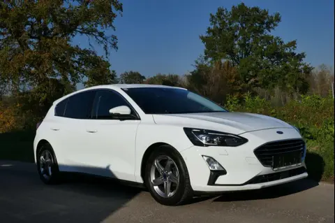 Used FORD FOCUS Diesel 2019 Ad 