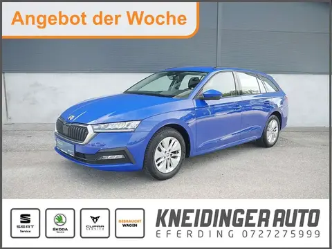 Used SKODA OCTAVIA Diesel 2020 Ad 