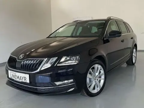 Annonce SKODA OCTAVIA Diesel 2019 d'occasion 