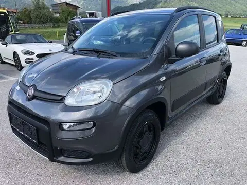 Annonce FIAT PANDA Diesel 2017 d'occasion 