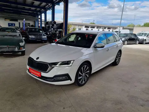 Annonce SKODA OCTAVIA Diesel 2020 d'occasion 