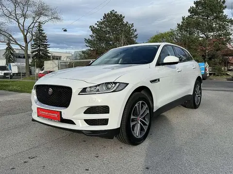 Used JAGUAR F-PACE Diesel 2016 Ad 