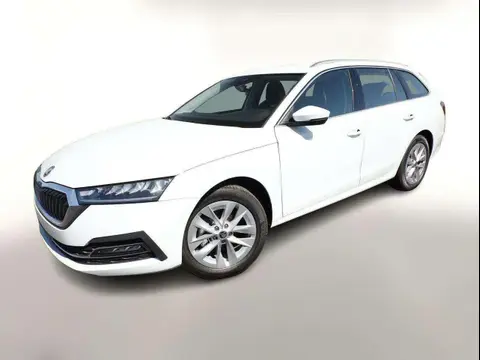 Annonce SKODA OCTAVIA Essence 2024 d'occasion 