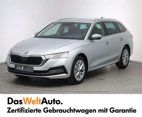 Annonce SKODA OCTAVIA Diesel 2024 d'occasion 