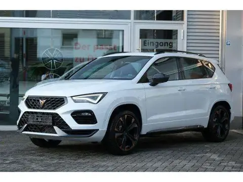 Used CUPRA ATECA Petrol 2024 Ad 