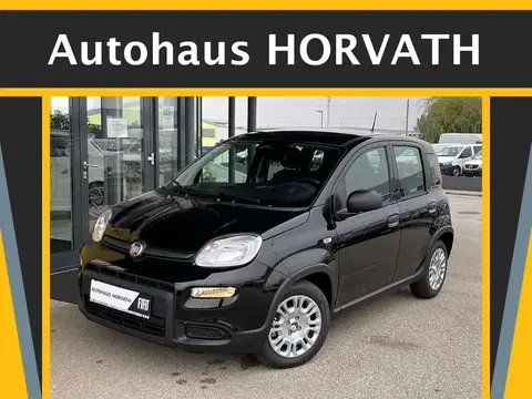 Annonce FIAT PANDA Essence 2024 d'occasion 