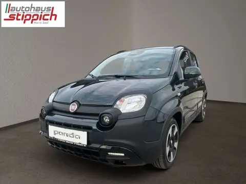 Annonce FIAT PANDA Essence 2024 d'occasion 