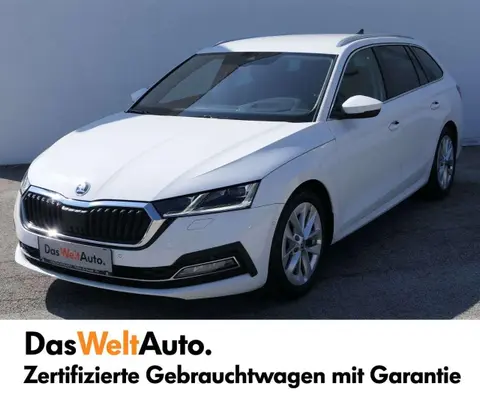 Used SKODA OCTAVIA Diesel 2021 Ad 