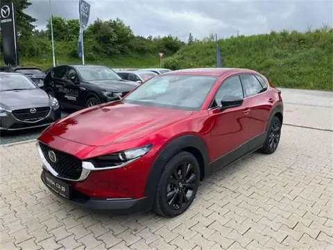 Annonce MAZDA CX-30 Essence 2023 d'occasion 