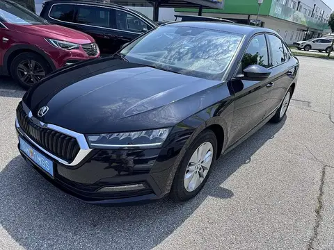 Annonce SKODA OCTAVIA Diesel 2021 d'occasion 