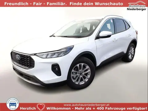 Used FORD KUGA Petrol 2024 Ad 