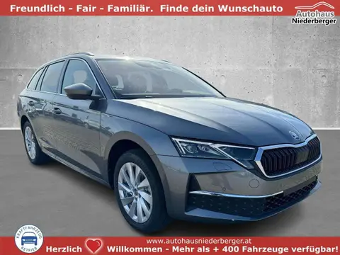 Annonce SKODA OCTAVIA Essence 2024 d'occasion 