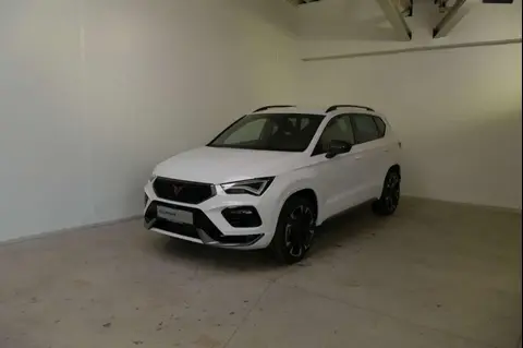 Annonce CUPRA ATECA Essence 2024 d'occasion 