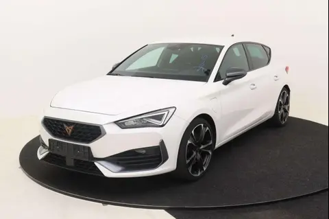 Used CUPRA LEON Hybrid 2022 Ad 