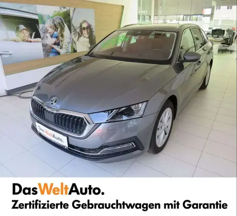 Used SKODA OCTAVIA Petrol 2024 Ad 