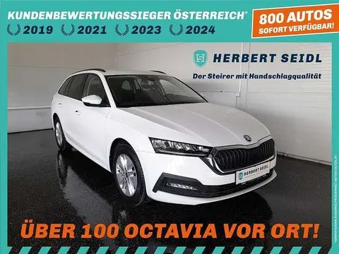 Used SKODA OCTAVIA Diesel 2021 Ad 