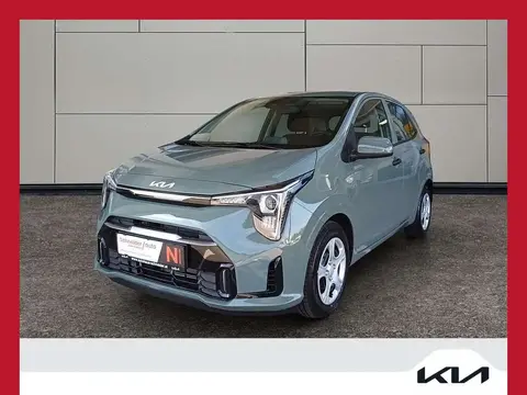 Used KIA PICANTO Petrol 2024 Ad 