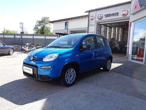 Annonce FIAT PANDA Essence 2024 d'occasion 