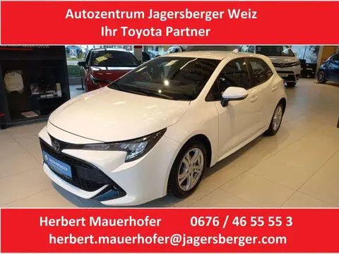 Used TOYOTA COROLLA Petrol 2019 Ad 