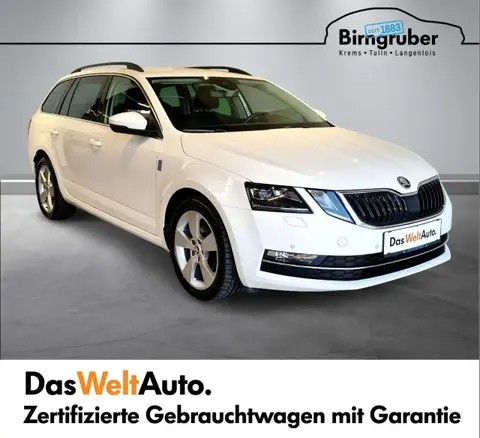 Annonce SKODA OCTAVIA Diesel 2019 d'occasion 