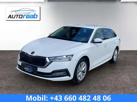 Annonce SKODA OCTAVIA Diesel 2021 d'occasion 