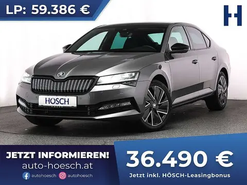 Annonce SKODA SUPERB Hybride 2023 d'occasion 