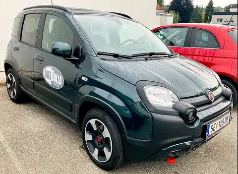 Used FIAT PANDA Petrol 2024 Ad 