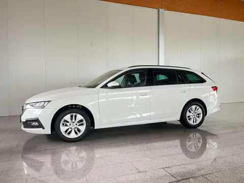 Annonce SKODA OCTAVIA Diesel 2020 d'occasion 