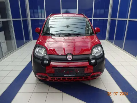 Used FIAT PANDA Petrol 2023 Ad 