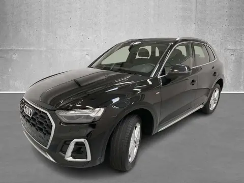 Used AUDI Q5 Diesel 2023 Ad 