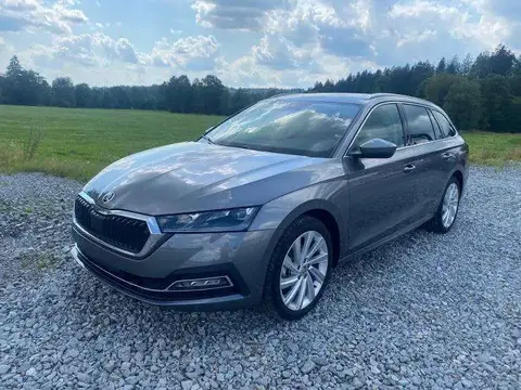 Annonce SKODA OCTAVIA Essence 2024 d'occasion 