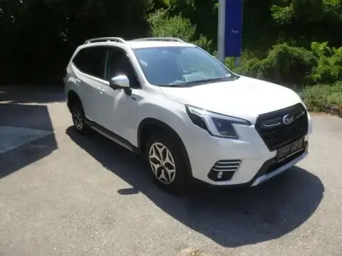 Annonce SUBARU FORESTER Essence 2024 d'occasion 