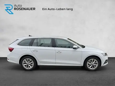 Used SKODA OCTAVIA Diesel 2023 Ad 