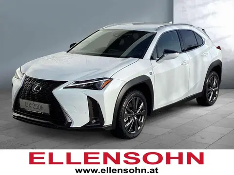 Used LEXUS UX Hybrid 2024 Ad 