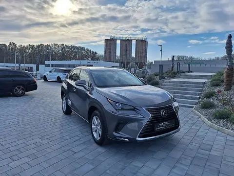 Annonce LEXUS NX Essence 2020 d'occasion 