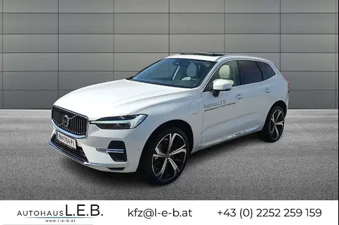 Used VOLVO XC60 Hybrid 2024 Ad 