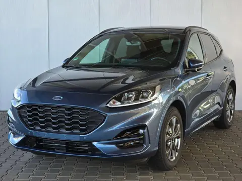 Used FORD KUGA Petrol 2022 Ad 