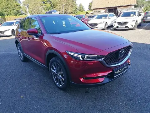 Used MAZDA CX-5 Diesel 2023 Ad 