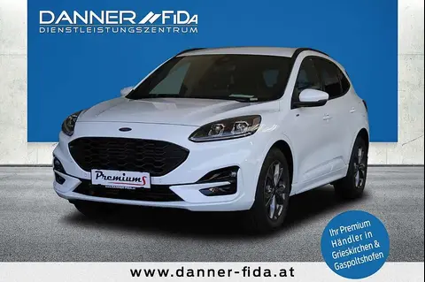 Used FORD KUGA Diesel 2024 Ad 