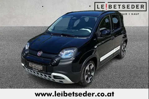 Used FIAT PANDA Petrol 2024 Ad 