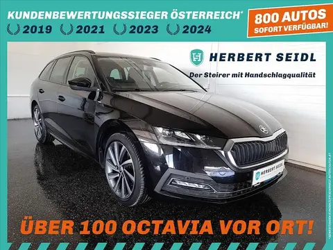 Annonce SKODA OCTAVIA Diesel 2020 d'occasion 