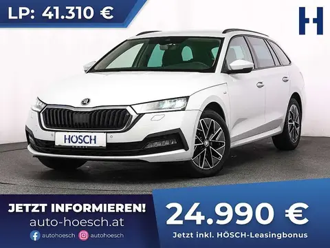 Annonce SKODA OCTAVIA Diesel 2022 d'occasion 