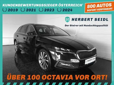 Annonce SKODA OCTAVIA Diesel 2021 d'occasion 