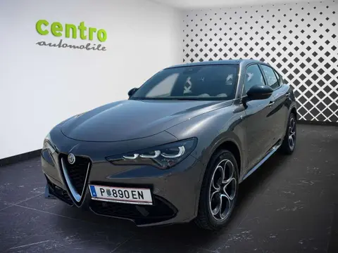 Annonce ALFA ROMEO STELVIO Diesel 2024 d'occasion 