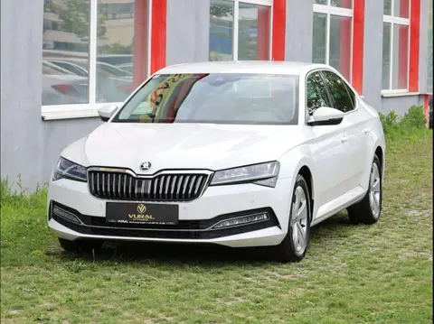 Annonce SKODA SUPERB Diesel 2019 d'occasion 