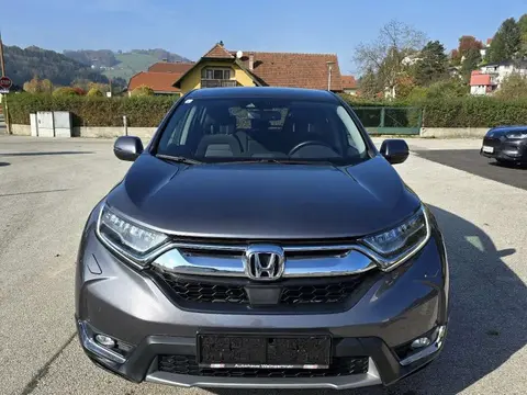 Used HONDA CR-V Petrol 2018 Ad 