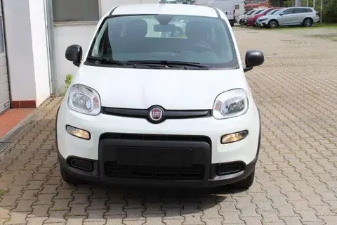 Annonce FIAT PANDA Essence 2024 d'occasion 