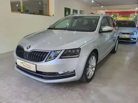 Annonce SKODA OCTAVIA Diesel 2019 d'occasion 